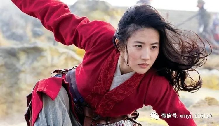 鸡肉丸子怎样做,鸡肉丸子怎么调好吃