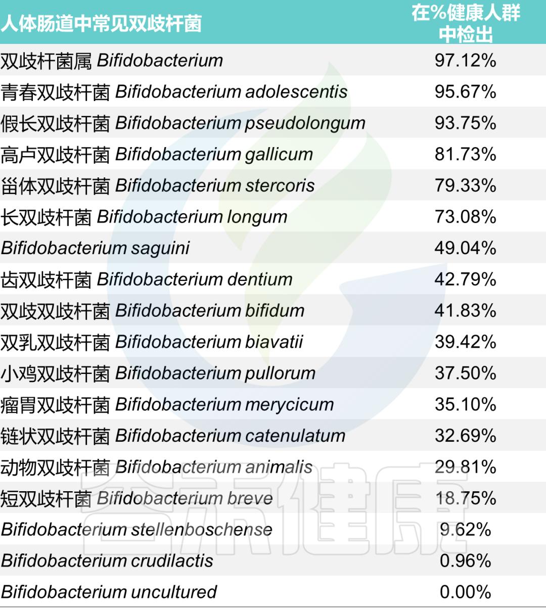 肠道双歧杆菌的功效及作用,双歧杆菌属于肠道的有益菌吗