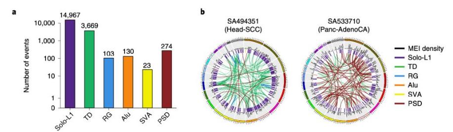 乳腺癌基因检测怎么做,乳腺癌基因检测怎么测