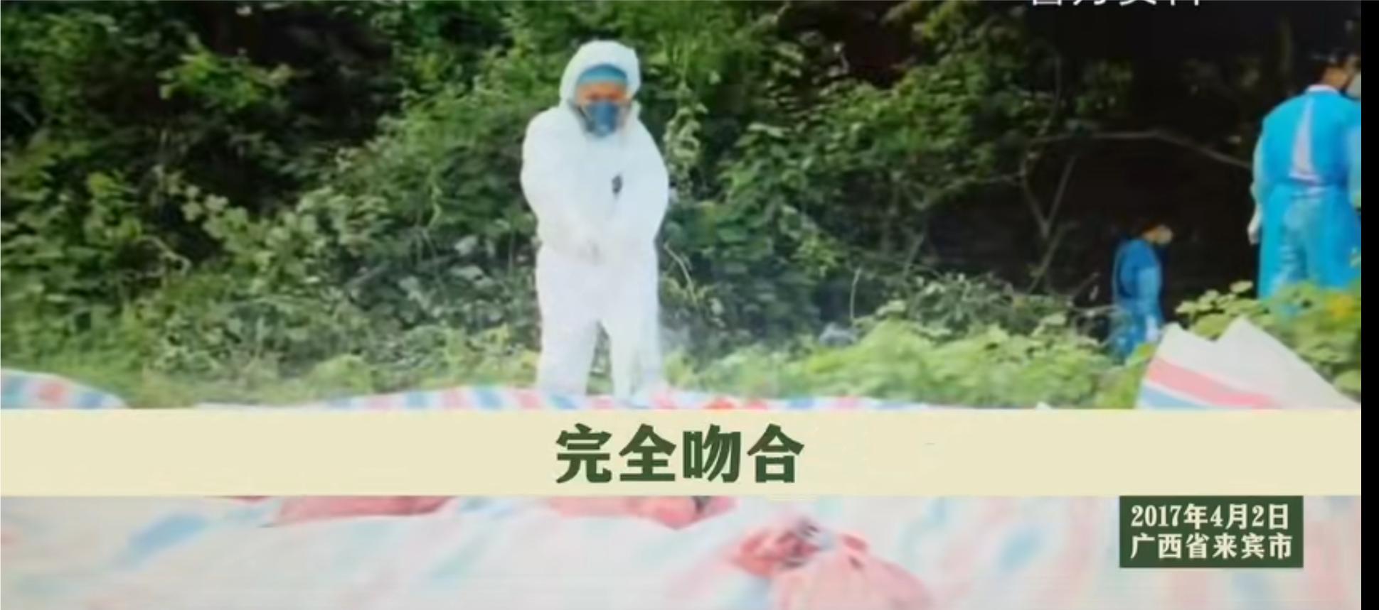 广西杀人碎尸案真实案例,广西杀害三姐妹碎尸案