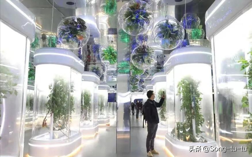 北京51家免费博物馆全攻略,北京18家一级博物馆