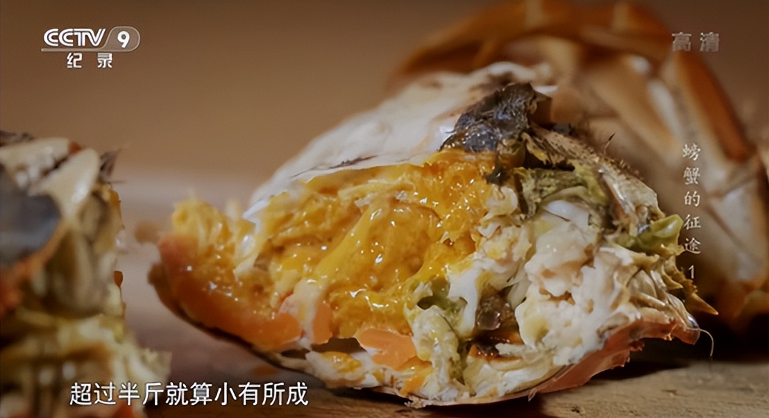 阳澄湖大闸蟹到底有多少真的假的,阳澄湖大闸蟹为什么很多假的