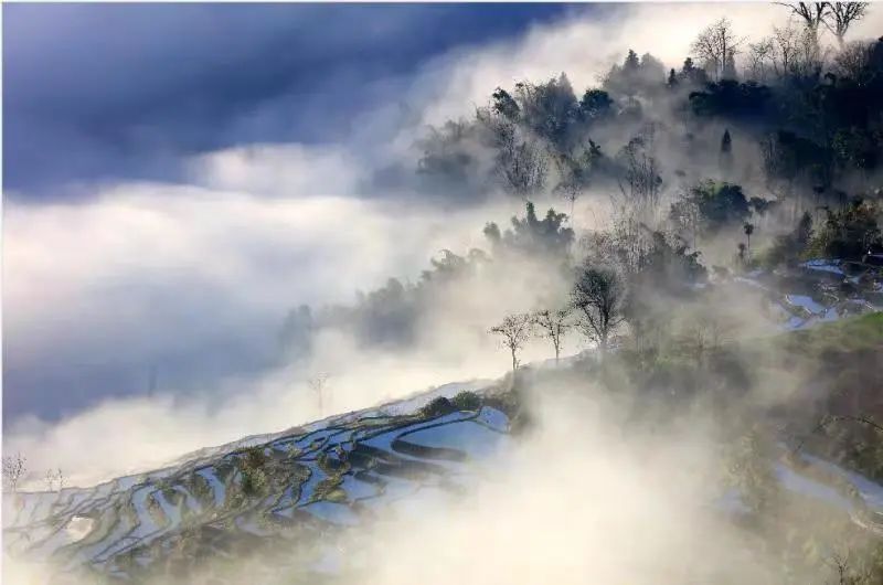 云南康辉旅游接待,云南康辉旅游服务
