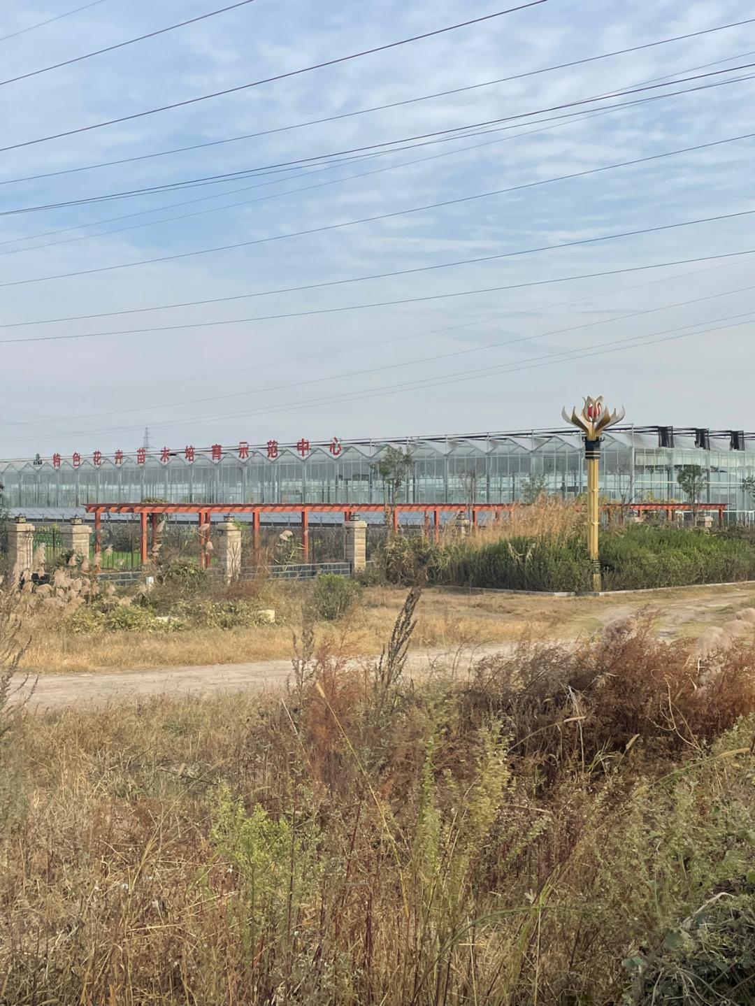 环渤海湾骑行记,环山东骑行日记青岛平度市