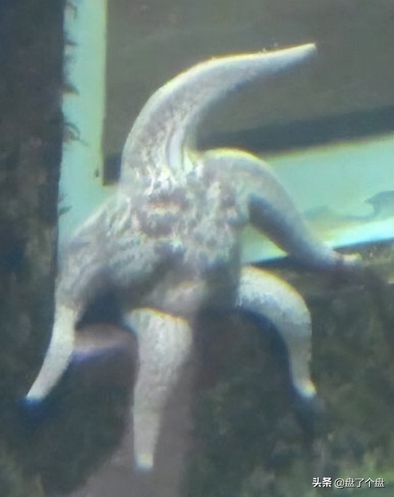 每日一笑段子集,每日一笑段子