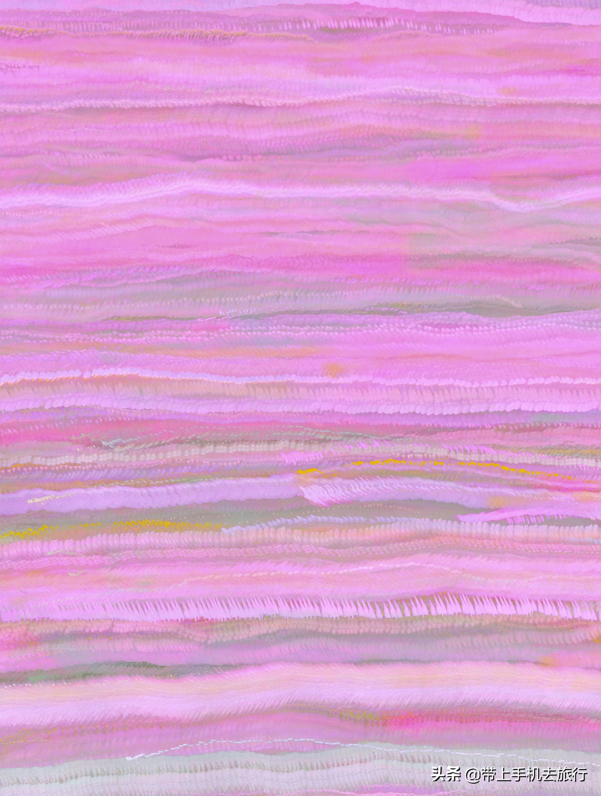 手机摄影怎么样用专业模式,手机摄影是怎么搞的