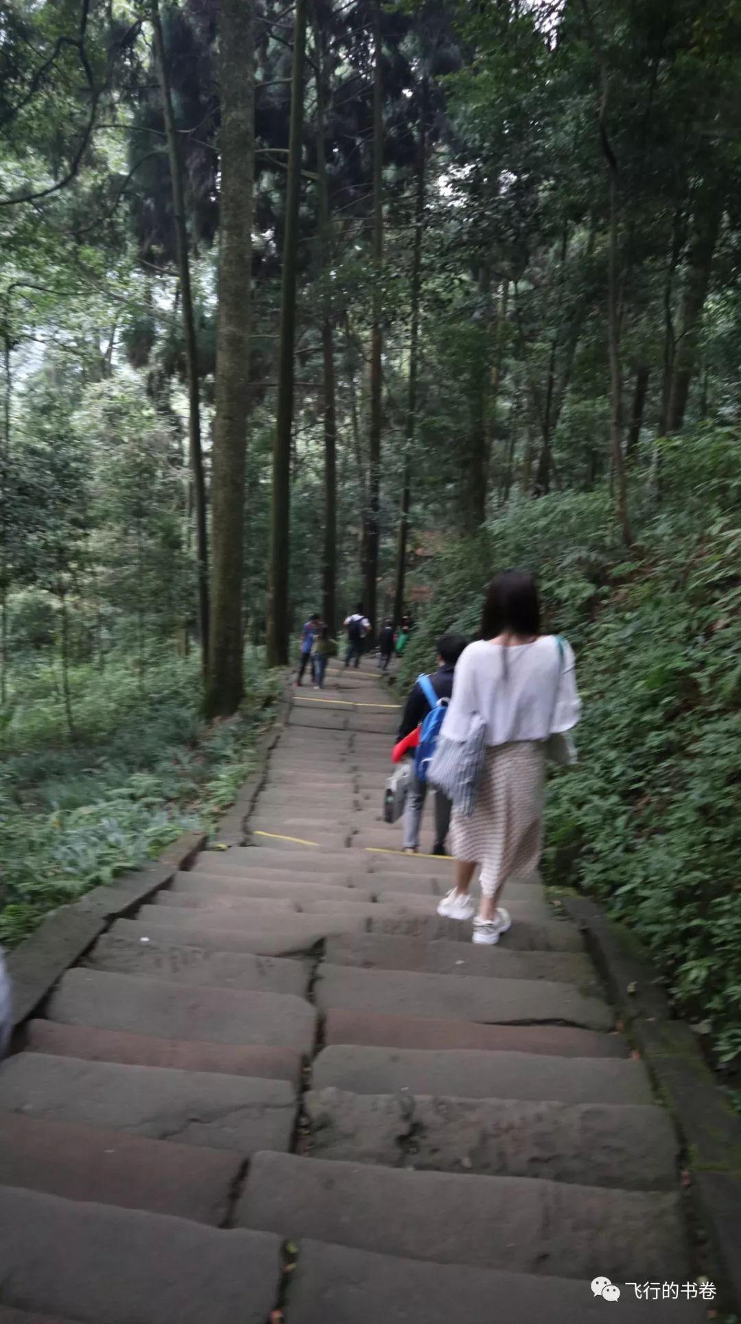 道教四大仙山你爬过几座,青城山为什么被称作道教第一山