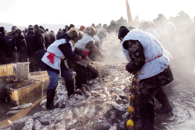 美食篇之兴凯湖大白鱼,舌尖上的湖鲜鱼