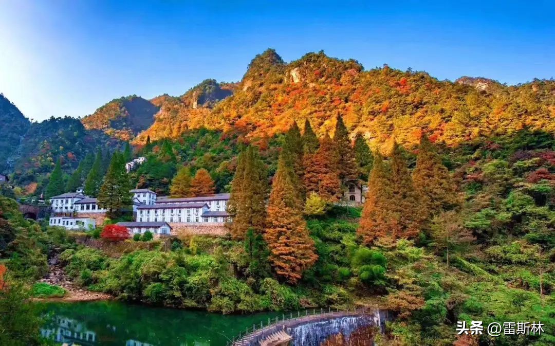 19年以前的大学生活,以前的大学生活是什么时候