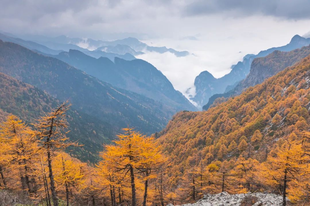 登太白山感受,太白山景区登顶拔仙台