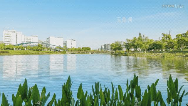 中南大学为什么这么牛？