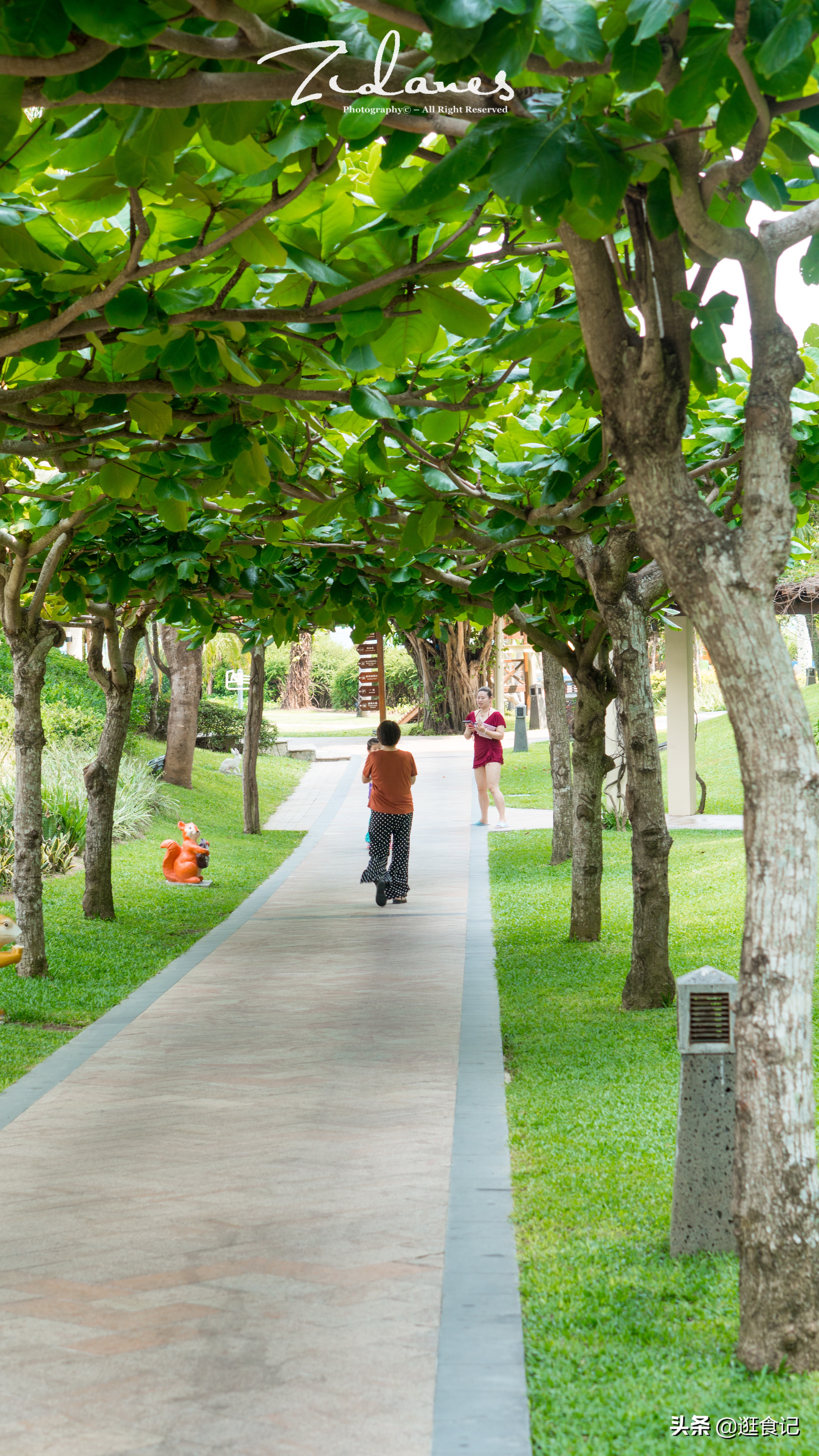 三亚亲子游亚龙湾天域酒店,亚龙湾天域和亚龙湾红树林