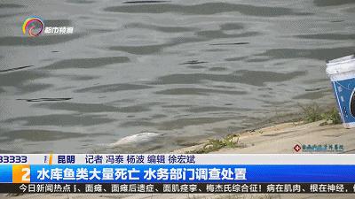 水库鱼死亡原因判断,水库捞鱼死亡水库有责任吗