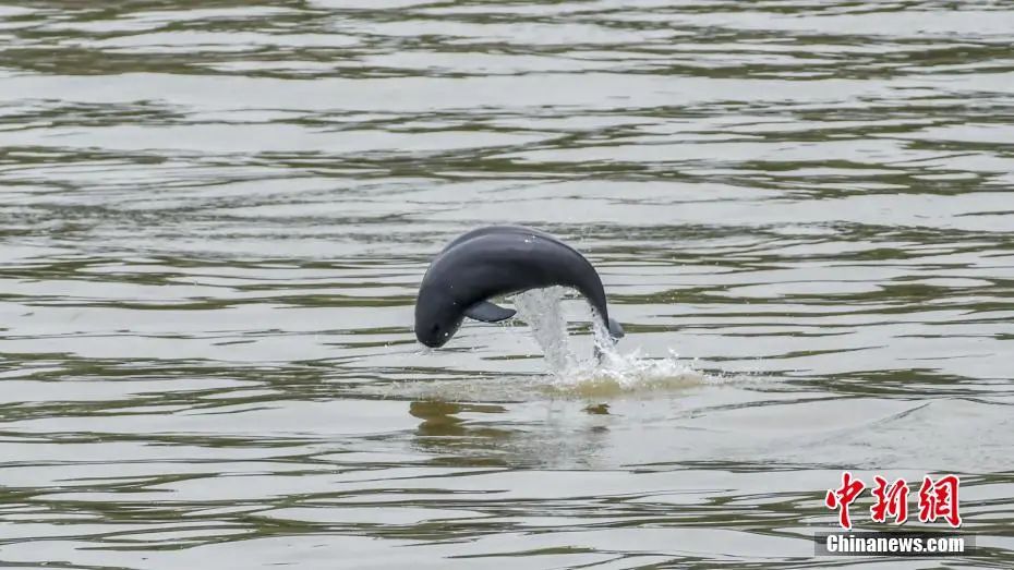 湖北的宝藏旅行地,宝藏湖北有多美