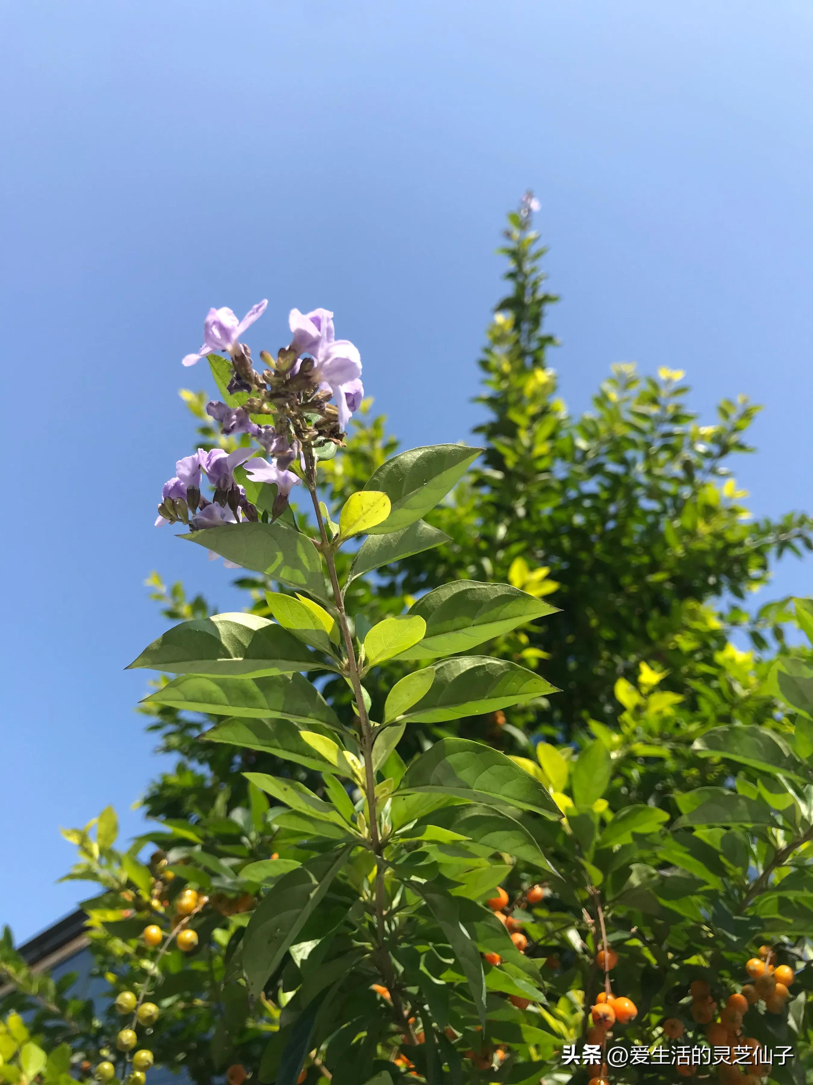 一个内陆人眼中的海南及海南人