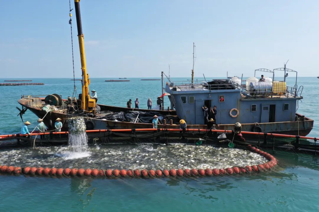 一条鱼致富,一条鱼发家致富