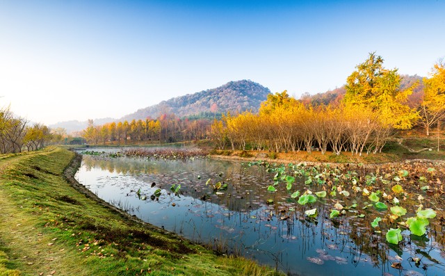 湖北各地级市的城区面积排行,湖北省行政区域划分历史明细
