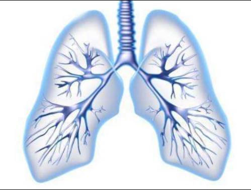 体检发现肺实性小结节,体检发现肺小结节无需过度紧张