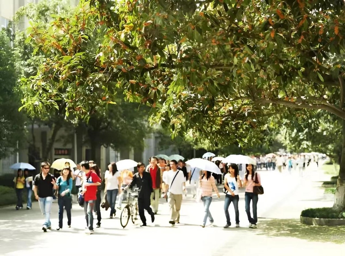 2022四川志愿填报学校数目,四川本科志愿填报多少个学校