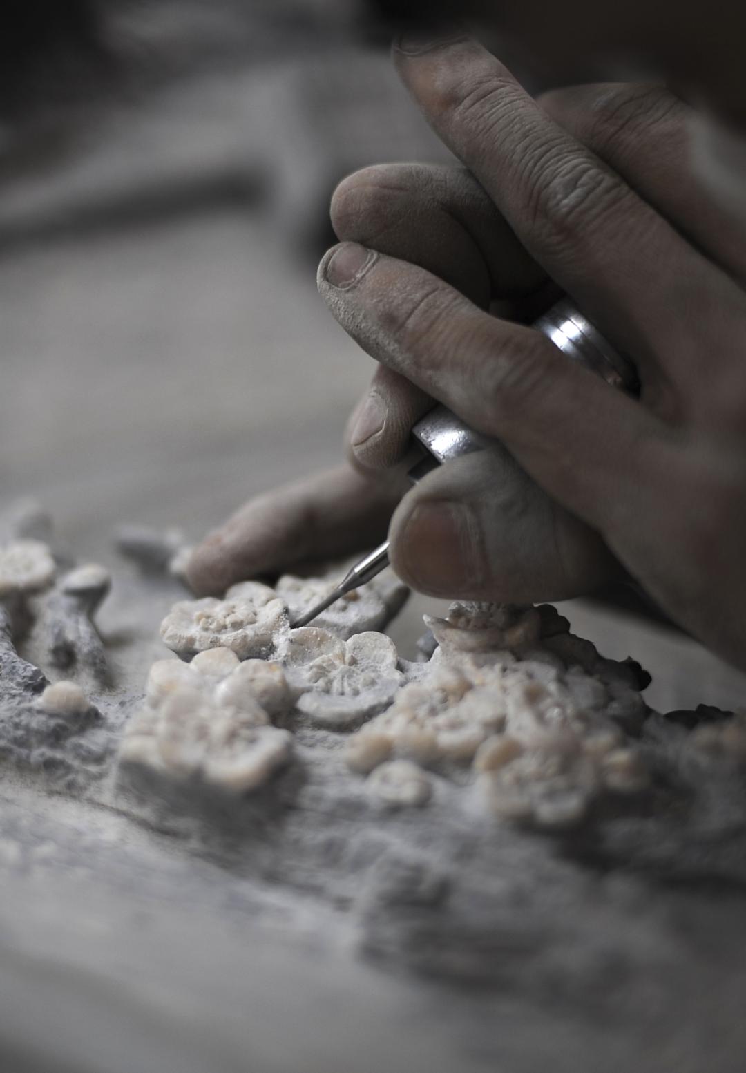 四川最适合冬季去的地方,四川最适合冬天去的地方