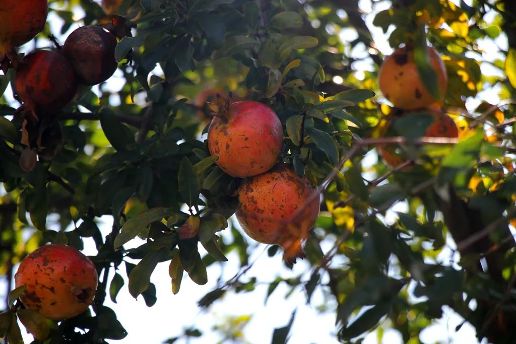 最近的泰兴,泰兴现在的样子