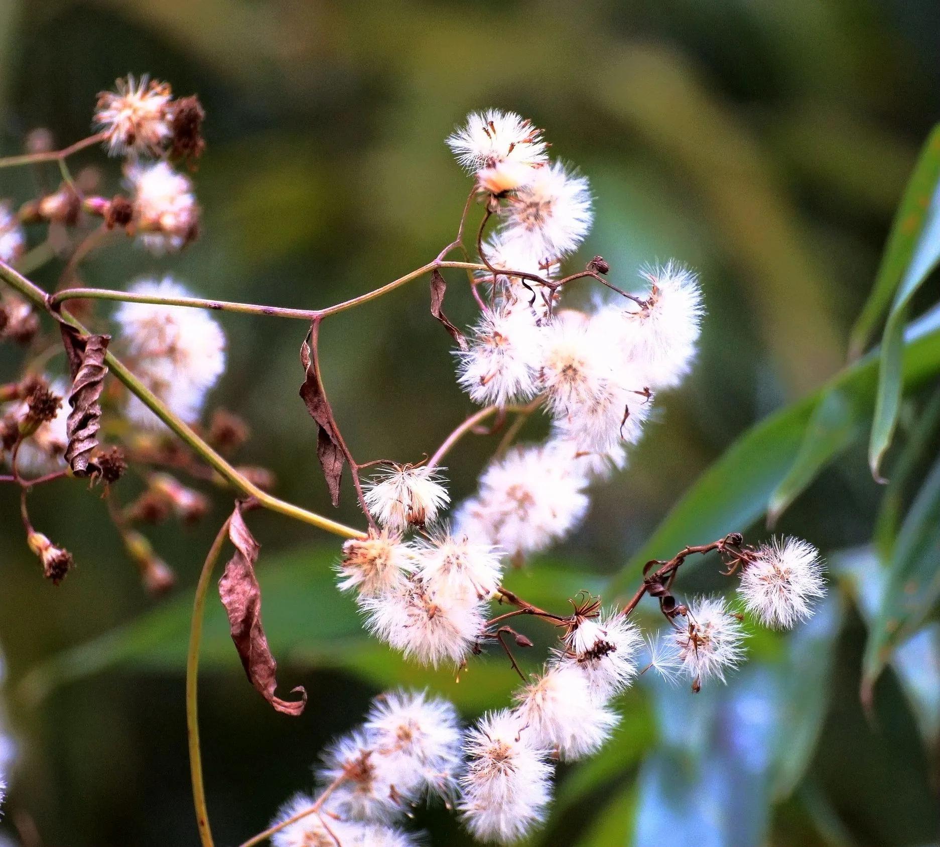 用佳能60d拍照片,新手用佳能600d教程