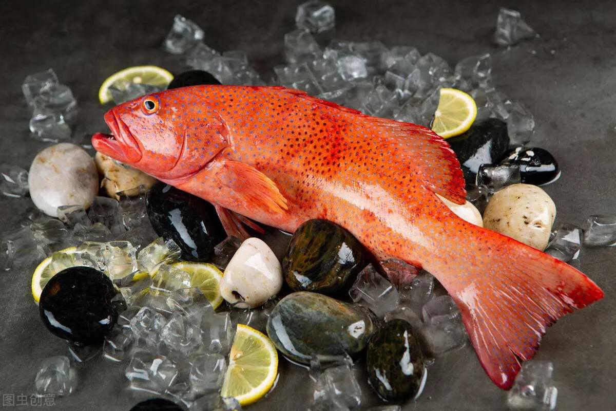 鱼类食材大全名称图片,鱼类菜谱大全100种