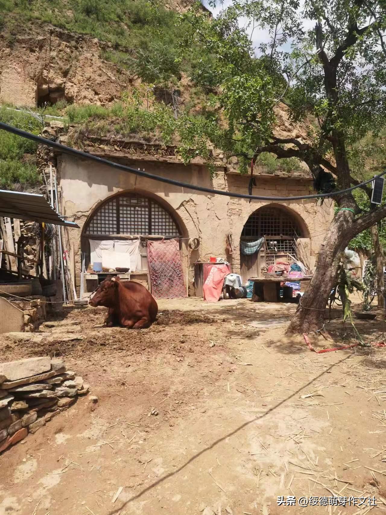 绥德李强国：从高舍硷到高石角