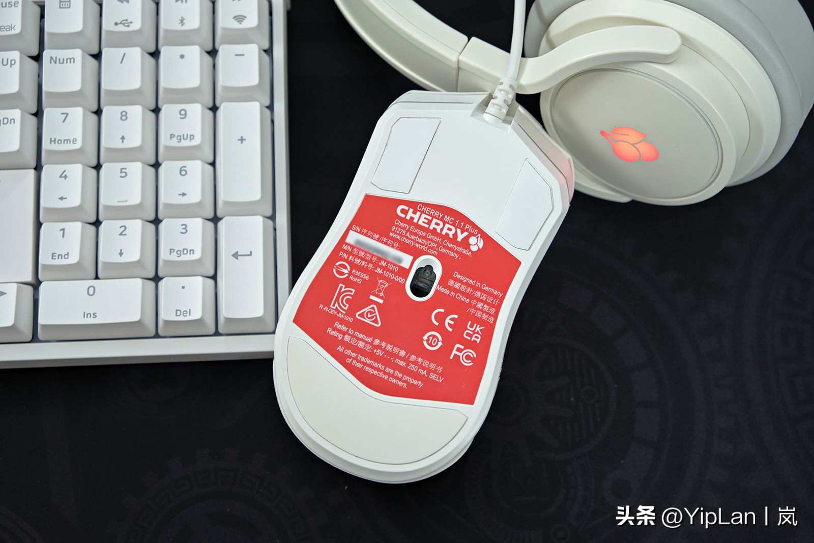 cherry澶栬鎺ㄨ崘,cherry澶栬鍜嬫牱