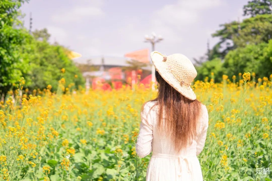 深圳地铁能直达的免费景点宝安区,深圳地铁直达免费玩的海滩