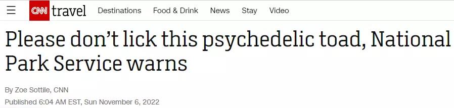 重口味！美国流行舔蟾蜍，致幻毒素堪比吸毒，澳洲狗子已上瘾