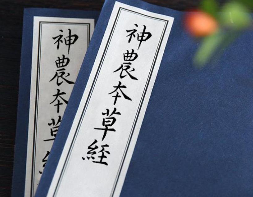 中医辨证施治方药,经方合方辨治疑难杂病电子版下载