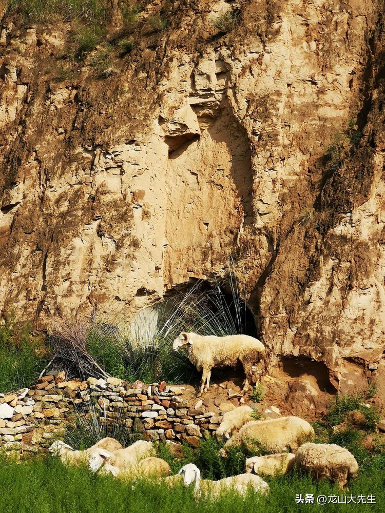 闆佸寳灏忚灏樺焹钀藉湴275,闆佸寳灏忚灏樺焹钀藉湴145