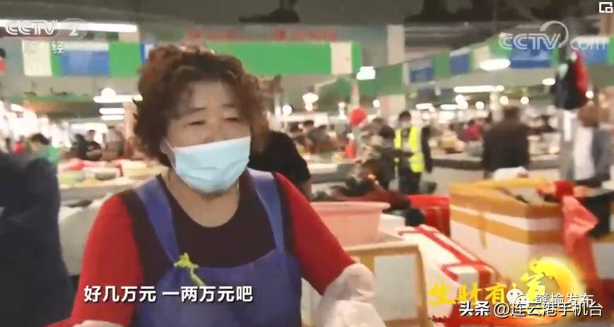 连云港上央视,连云港港上过几次央视