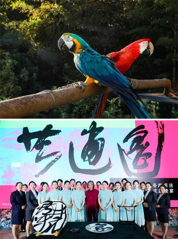 杭州王冬龄书法展,王冬龄书法展在什么地方