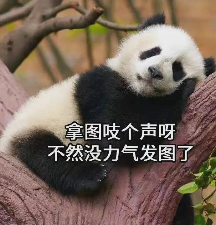 上班的我下班的我表情包,上班与下班的区别表情包