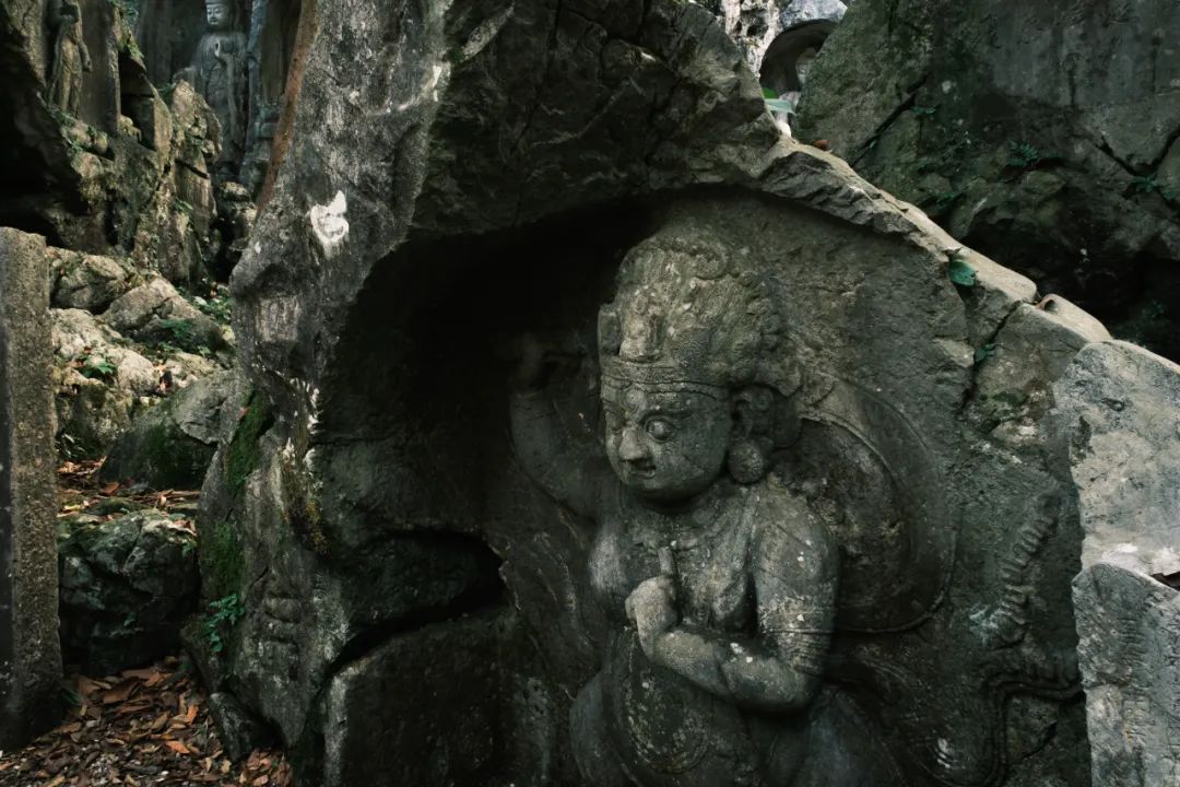 适马85mmf1.4镜头富士卡口,富士适马18-50镜头评测