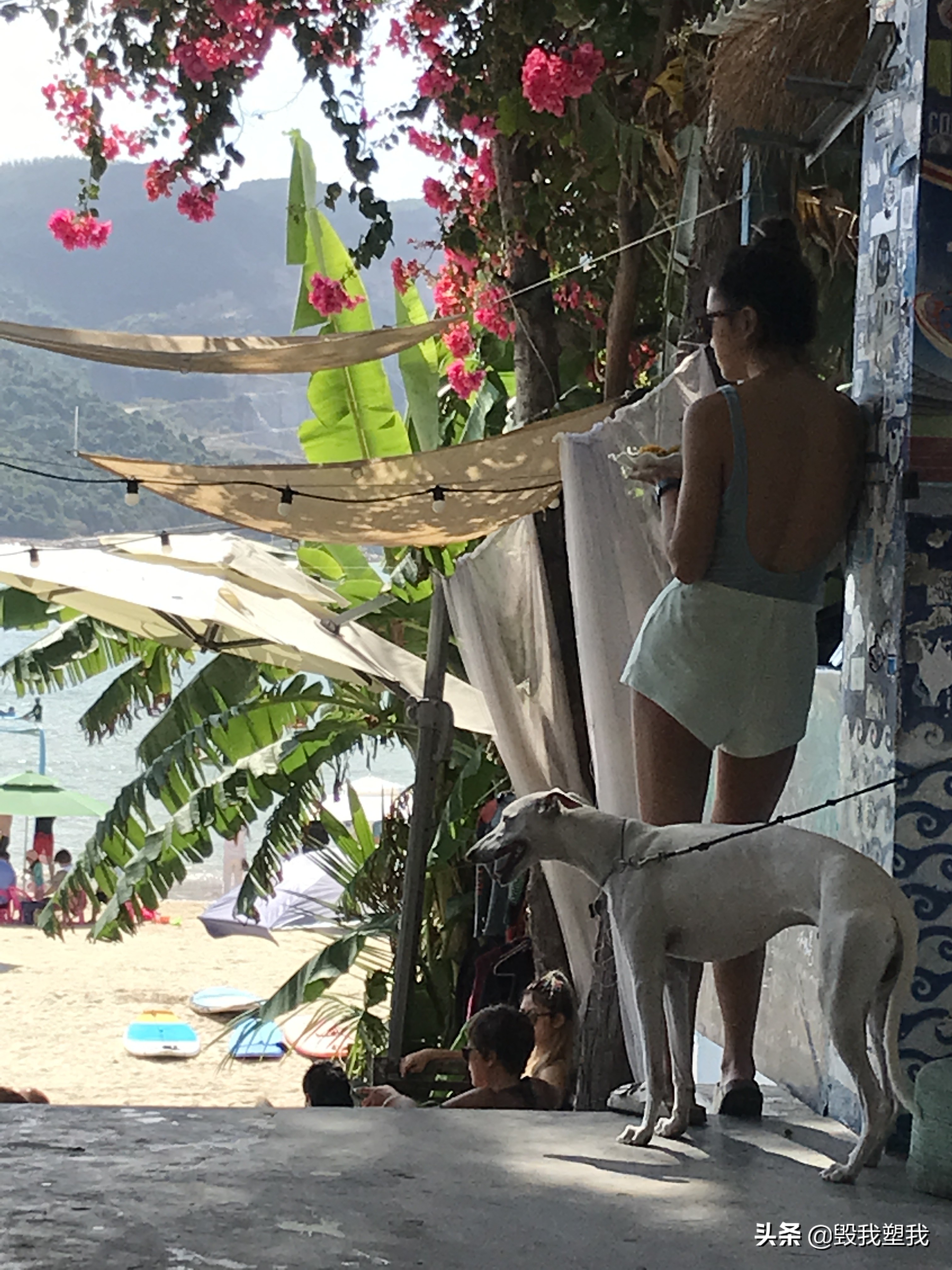 海南三亚街头真实视频,三亚街边小视频