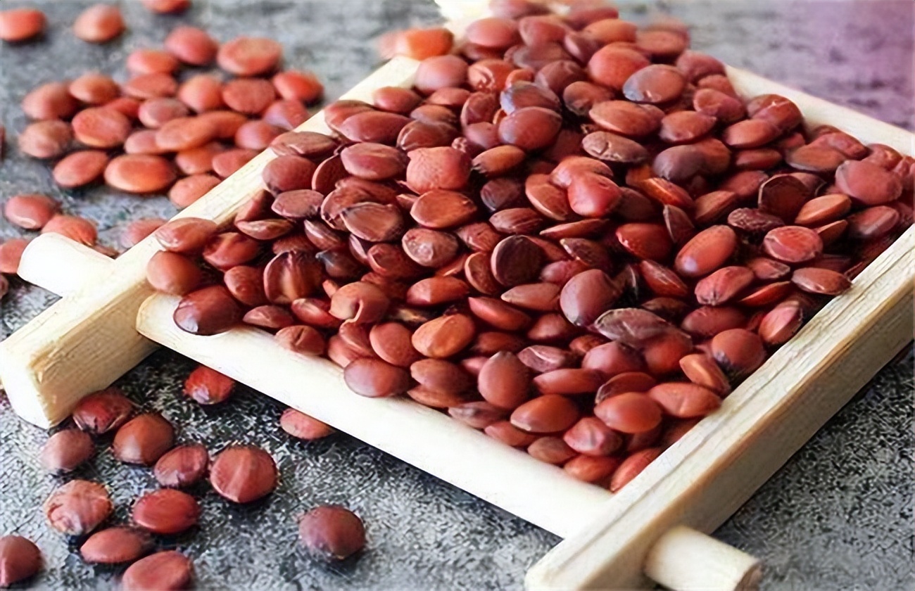 冠心病房颤中药治疗最有效,冠心病室性早搏治疗药物