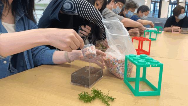 生态鱼缸如何做过滤,金鱼生态鱼缸制作