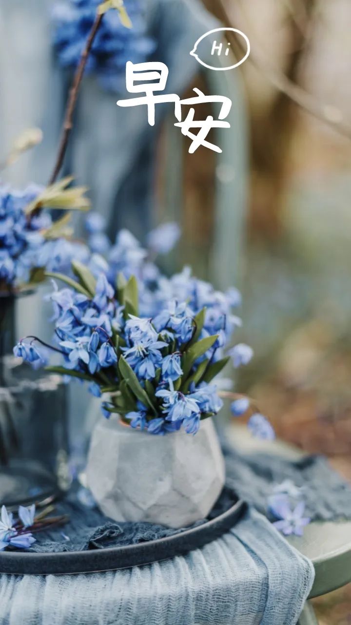 早安语录正能量朋友圈关于梦想,有梦想励志早安语句带图片