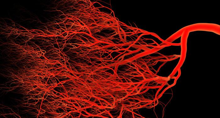 走路跑步后皮肤会痒是什么原因,跑步或走路会身体痒是怎么回事