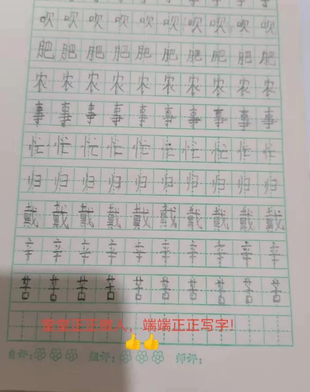 小学学霸练字二年级,练字小学二年级展示