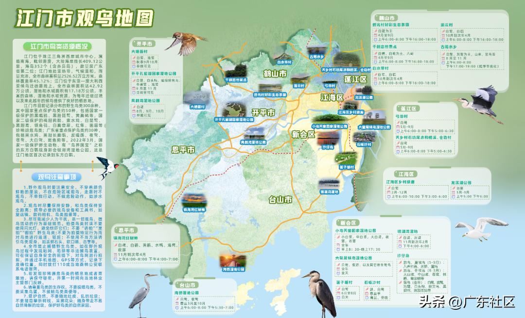 春季国内观鸟热门地,这份观鸟地图请收好