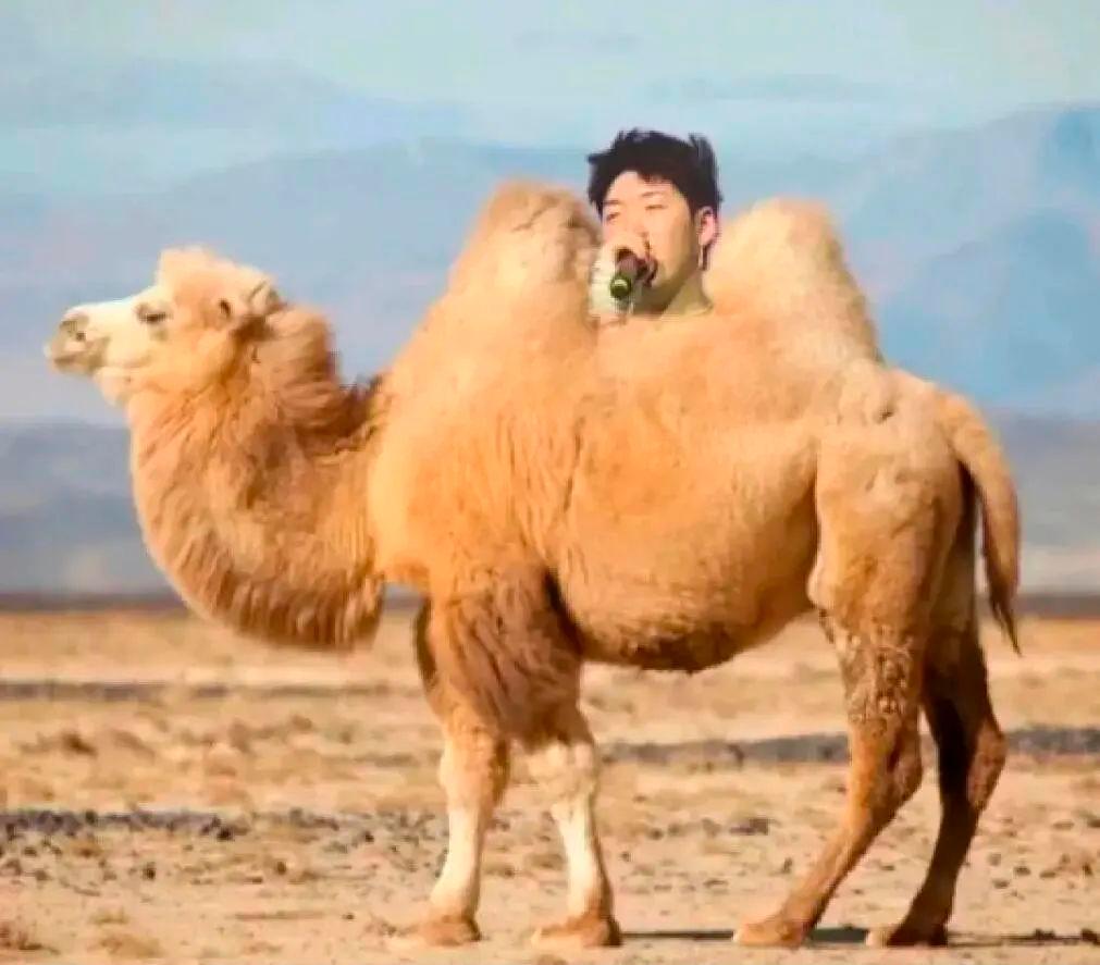 华语乐坛新晋四大天王,华语乐坛新生代四大天王