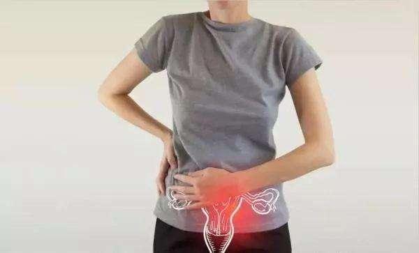 适合50岁女人吃天然黄体酮食物,6种富含天然黄体酮的食物