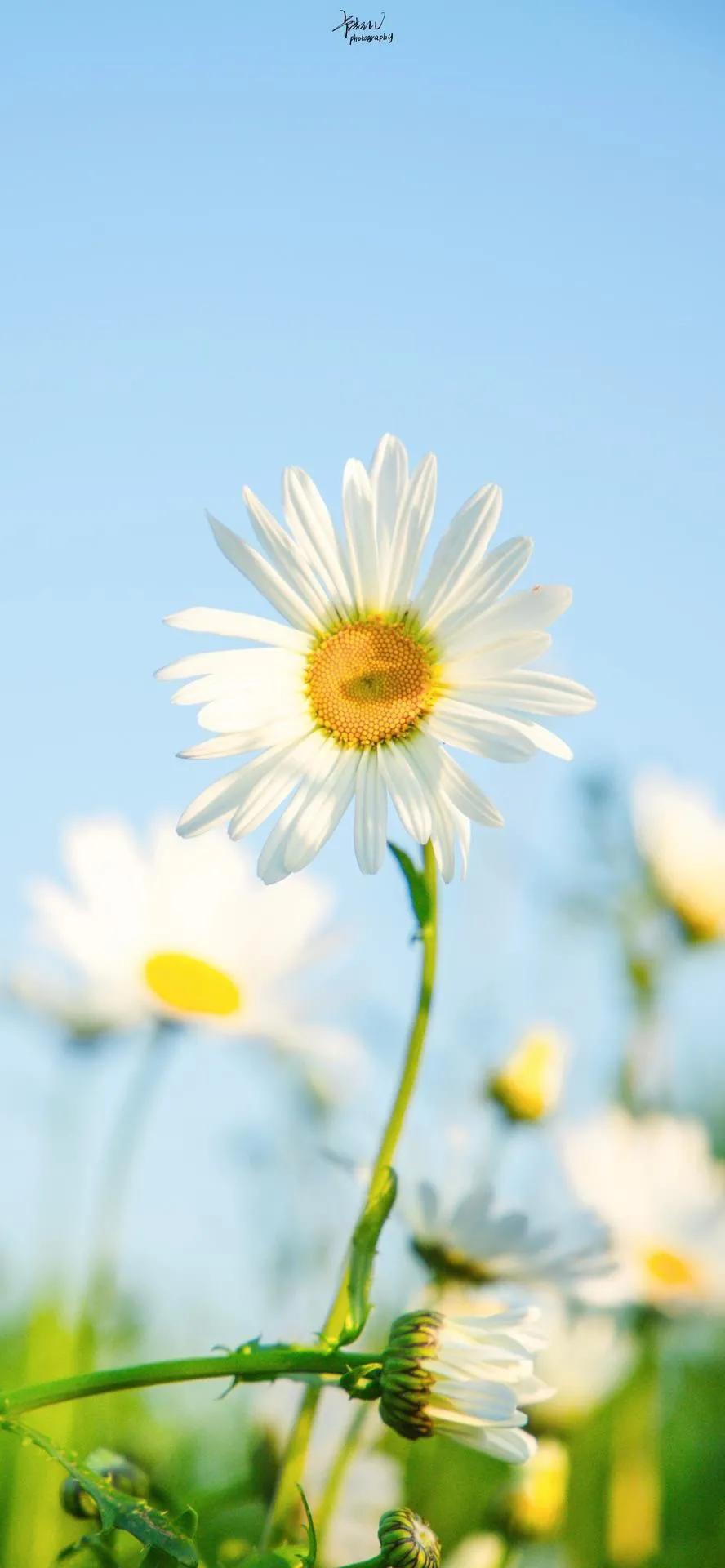 湛蓝的海水海滩风景高清壁纸,高清壁纸8k全屏无水印风景