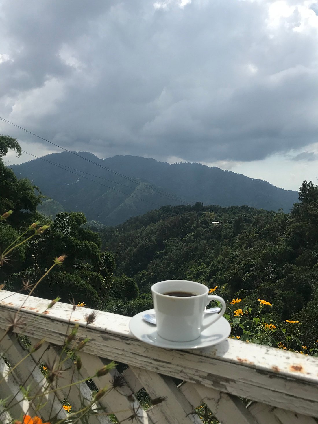 现在牙买加情况怎么样,牙买加现在的现状