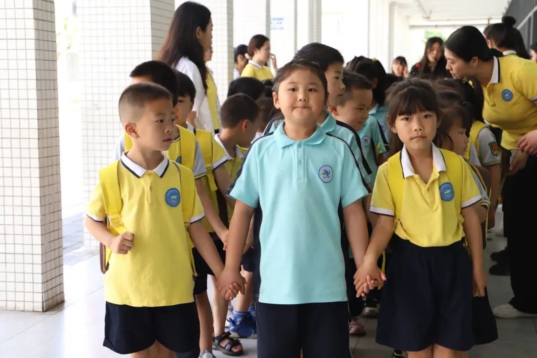 幼儿园科学幼小衔接之区域活动篇,幼儿园幼小衔接主题下的区域活动