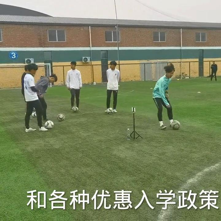 2021年单招足球总人数,2024年全国足球单招